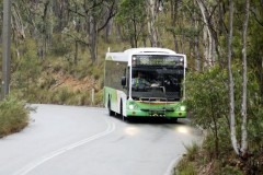 Bus 316-Black Mountain Drive