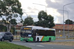 Bus316-JohnGortonDr