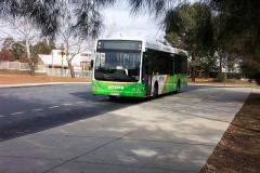 Bus-317-Kippax-Terminus