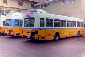 BUS 318-1