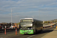 Bus-319-Flemington-Road