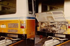 Bus-320