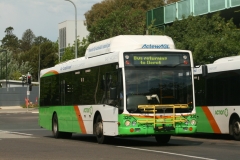 Bus-320-Bradley-Street