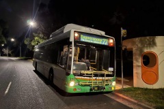 Bus-320