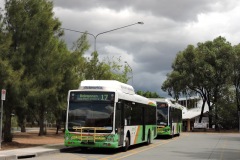 Bus-321-Kippax-Terminus-with-Bus-588-