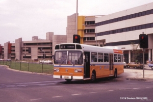 BUS 323-1