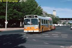 Bus-323-Alinga-Street