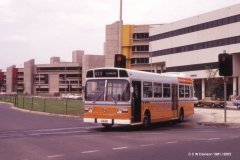 Bus-323-Benjamin-Way-2