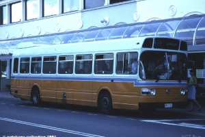 BUS 324-1