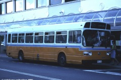 Bus-324-City-Interchange