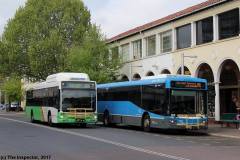 Bus329-CityBs-1-w625