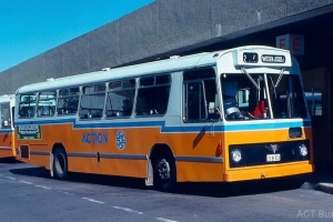 BUS 331-1