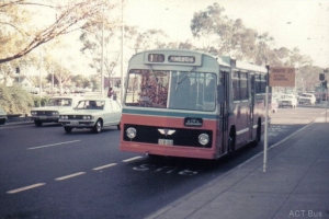 BUS 333-1