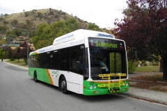Bus-333-Theodore