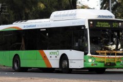Bus334-Sternberg-1