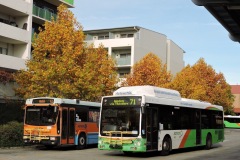 Bus-336-Tuggeranong-Bus-Station-with-Bus-965-