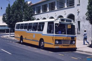BUS 338-1