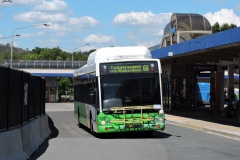 Bus-338-Woden-Bus-Station