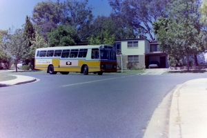 BUS 339-1