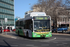 BUS 339-2
