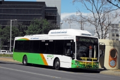 Bus-339-Marcus-Clarke-Street-2