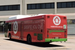 Bus-339-Woden-Bus-Station-1-