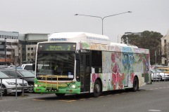 Bus-339-Woden-Layover