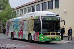 Bus339-CityBs-1