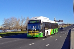 Bus-342-Commonwealth-Avenue