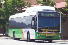 Bus-342-Tuggeranong-Interchange
