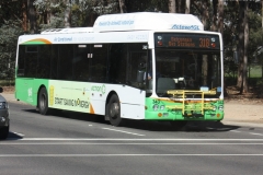 Bus-343-Barry-Drive