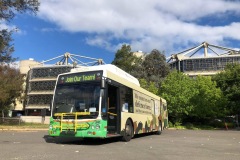 Bus 346 - Callam St Layover