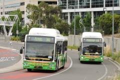 Bus-346-Cohen-St-with-Bus-353