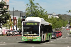 Bus-347-Constitution-Avenue