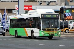 Bus348-CohenSt-1