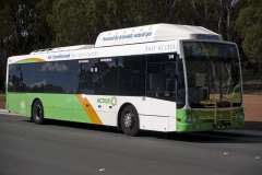 Bus-349-ANZAC-Parade