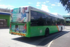 Bus-352-Woden-Bus-Station