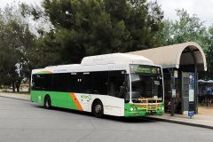 Bus353-Kippax-1