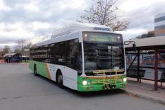 Bus-355-City-West-