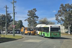 Bus355-LithgowSt-1