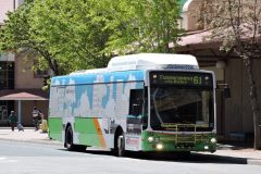 Bus355-TuggBs-3