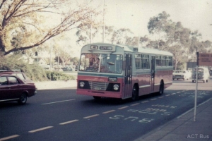 BUS 356-1