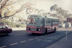 Bus-356-Northbourne Ave