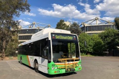 Bus 356 - Callam St Layover