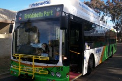 Bus356-Spence Terminus