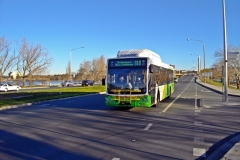 Bus-357-Commonwealth-Avenue