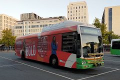 Bus359-CityWest-1