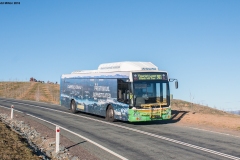 Bus360-HimalayanCedarRd-1
