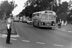 Bus-364-2