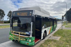 Bus 364 - Tharwa Dr